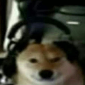 Meet your Posher, Guyen